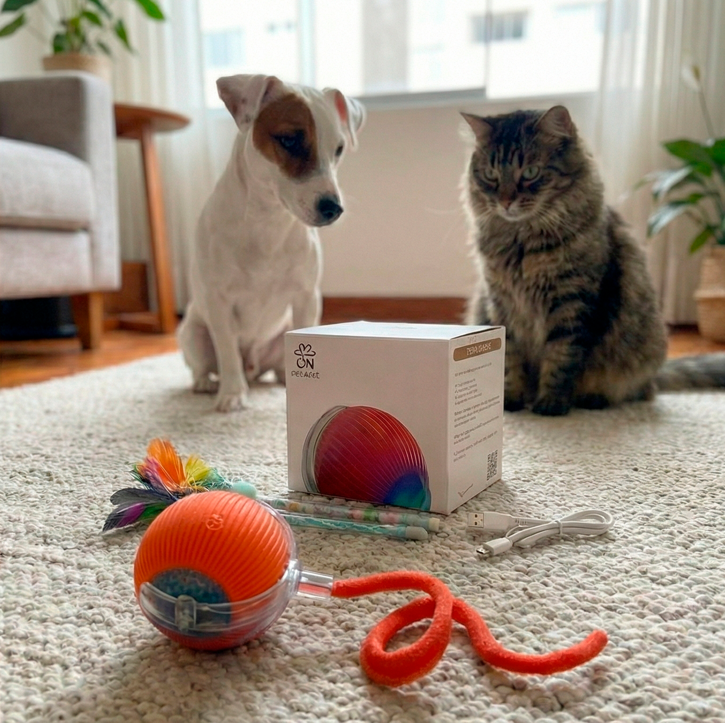 Pelota Interactiva para Mascotas